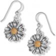 Daisy Dee French Wire Earrings Online Sale