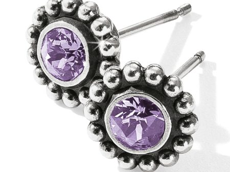 j2049K  Twinkle June-Tanzanite Mine post Earrings Hot on Sale