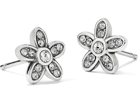 Baroness Fiori Mini Post Earrings Online now