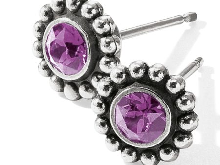 J2049G Twinkle Feb-Amethyst Mini Post Earrings For Discount