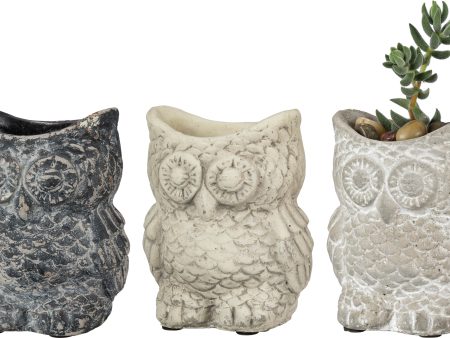 Cement Owl Planter Set Cheap