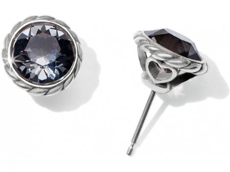 Black Diamond Iris Stud Earrings For Sale