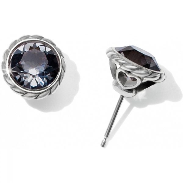 Black Diamond Iris Stud Earrings For Sale