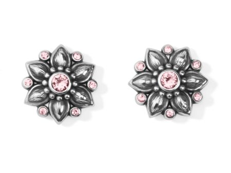 Cora Mini Post Earrings Online now